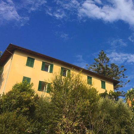 Villa Vento Largo, Casa Marina ヴェンティミーリア エクステリア 写真