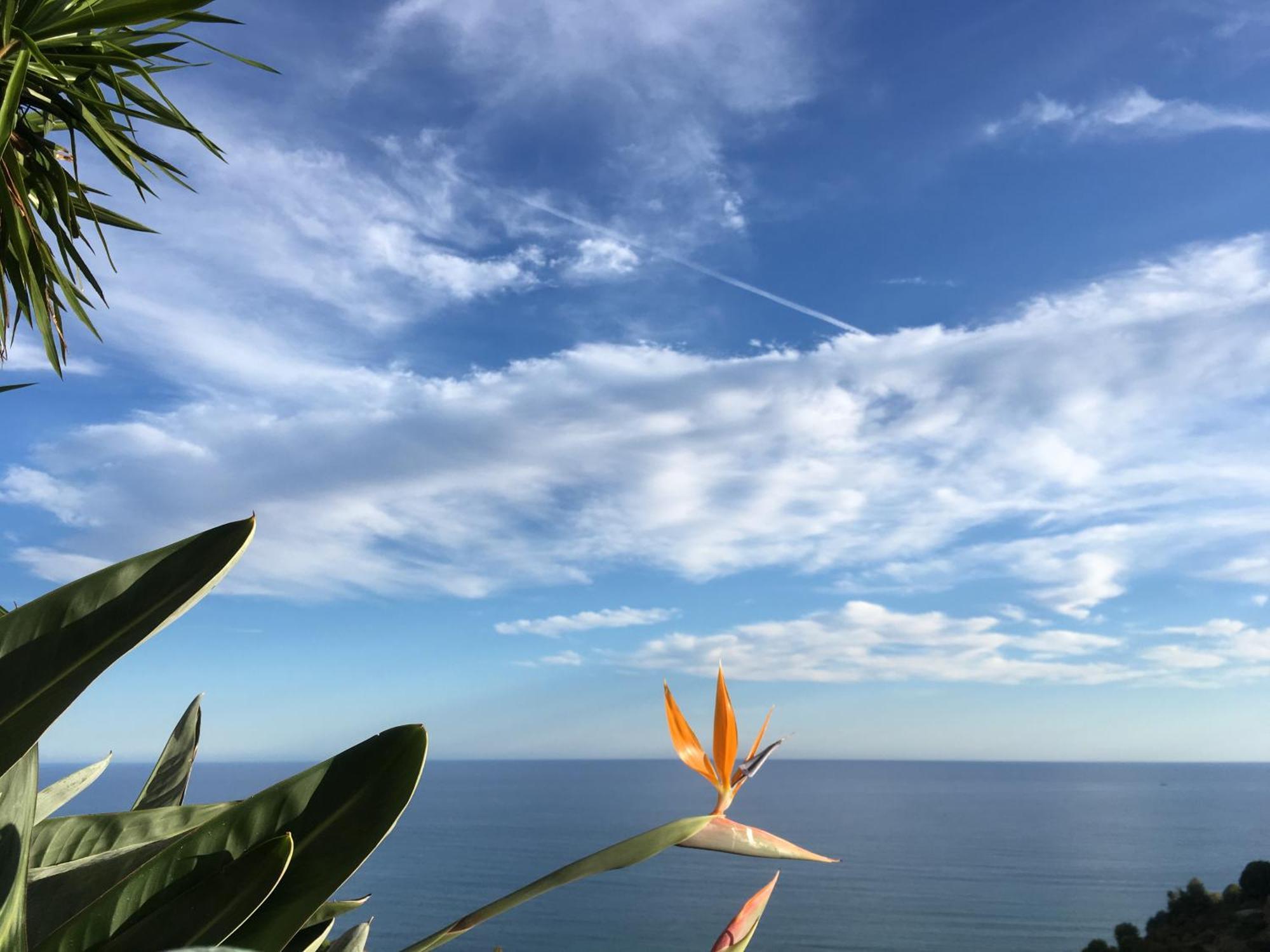 Villa Vento Largo, Casa Marina ヴェンティミーリア エクステリア 写真