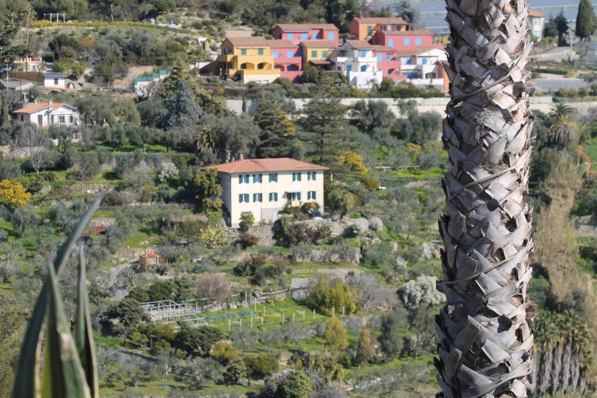 Villa Vento Largo, Casa Marina ヴェンティミーリア エクステリア 写真